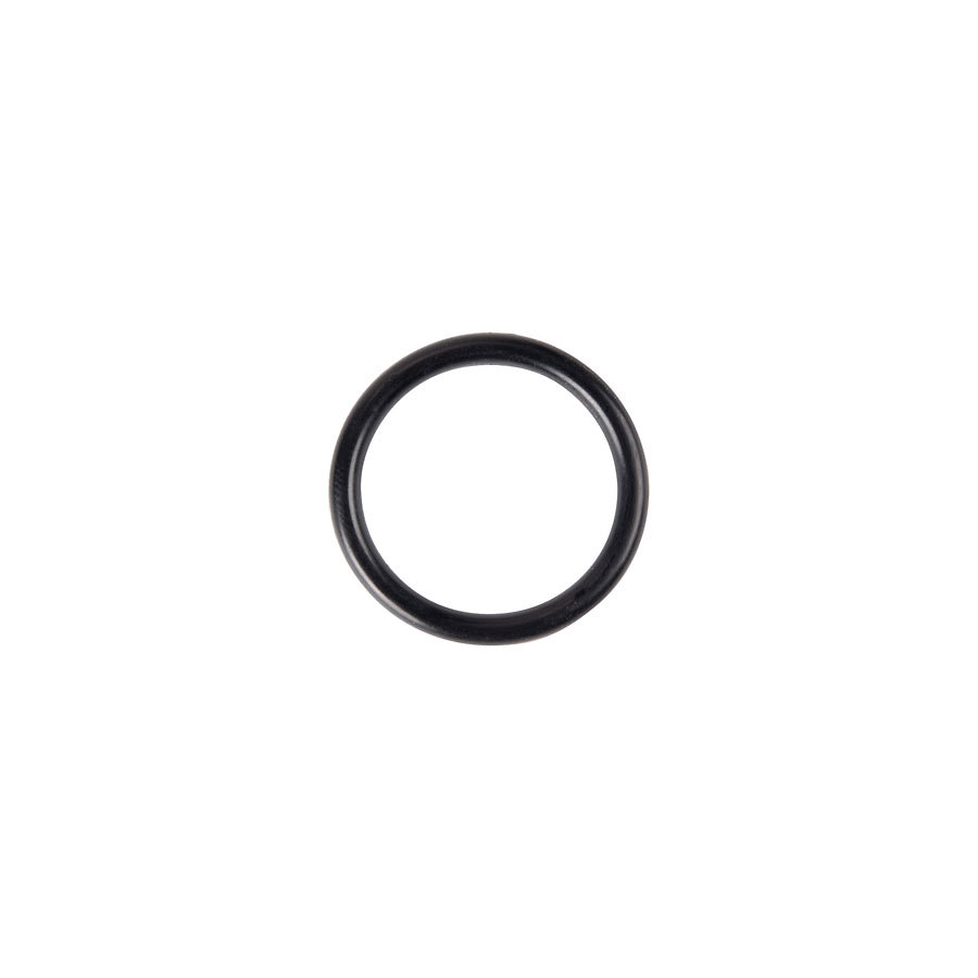 Server O-Ring 1 inch