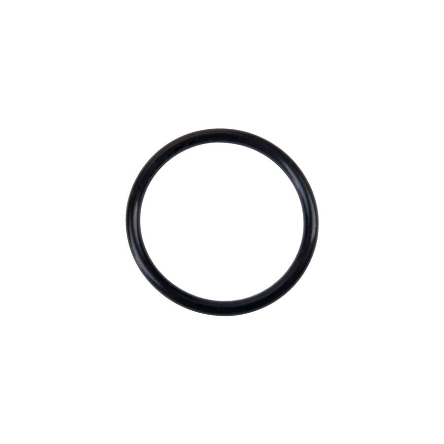 Server O-Ring 1 5/16 inch